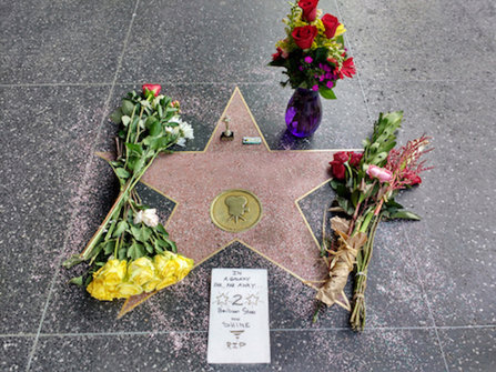 Tribute on Hollywood boulevard